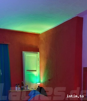 Foto 4 von Niki